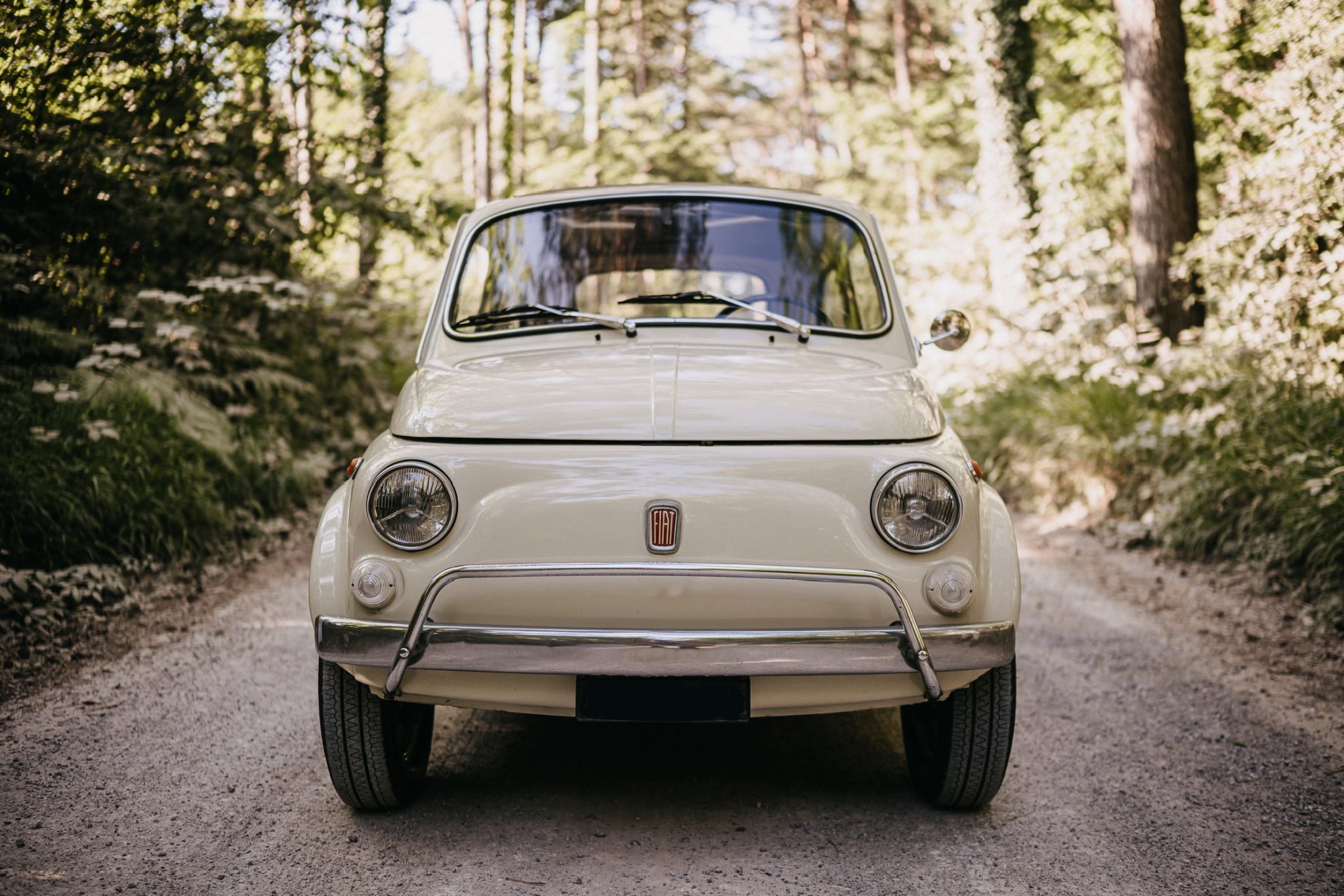 Fiat 500L color avorio, vista frontale su una strada di campagna alberata
