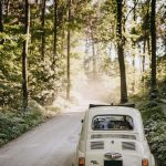 Fiat 500L vista posteriore su una strada sterrata immersa nel bosco