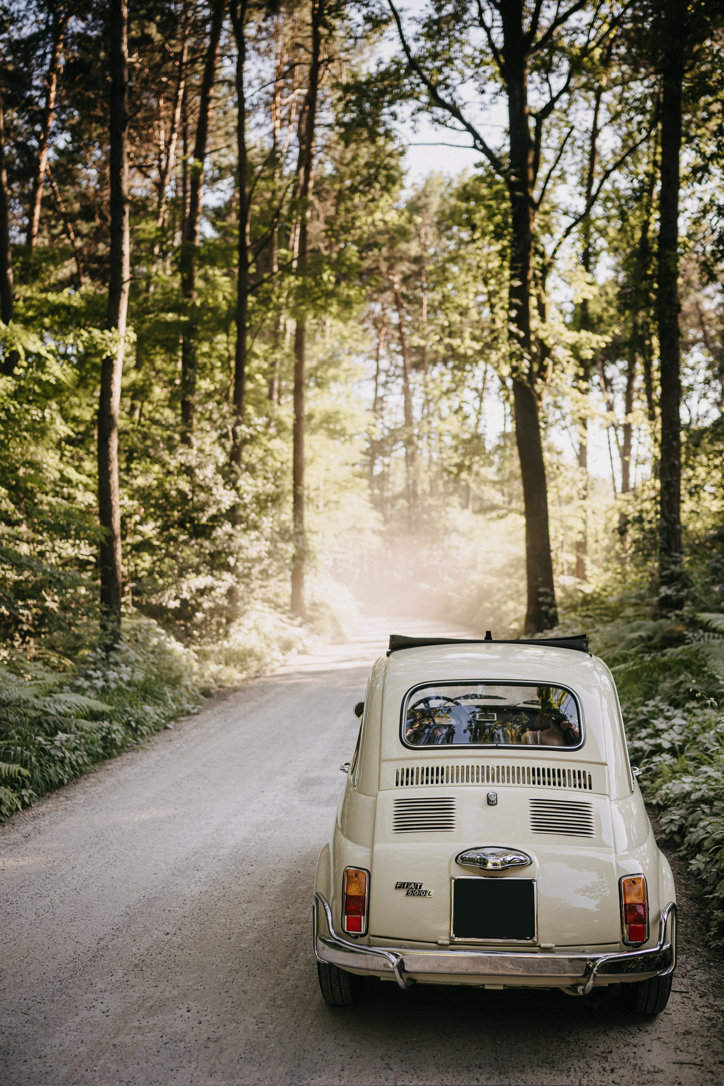 Fiat 500L vista posteriore su una strada sterrata immersa nel bosco